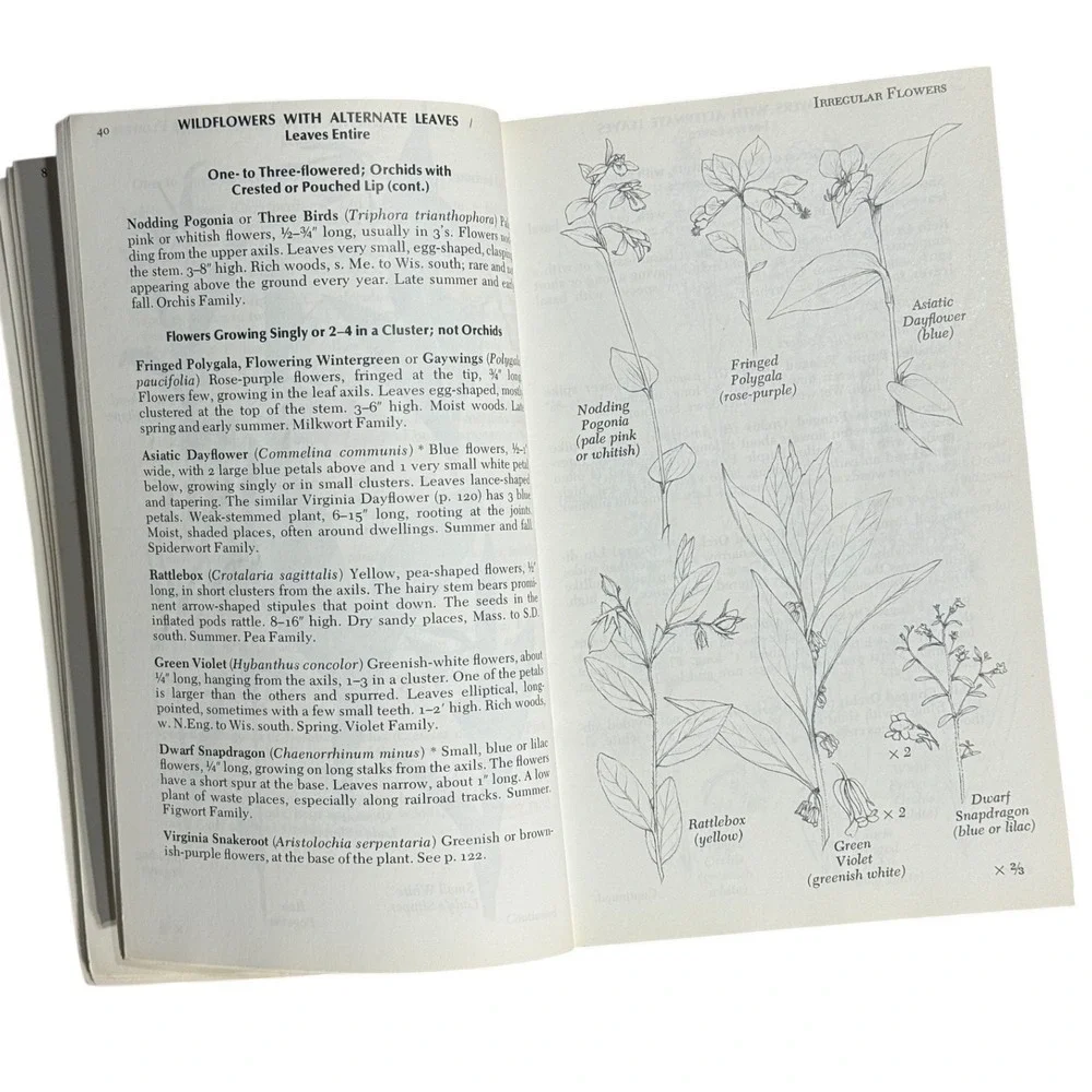 Newcomb's Wildflower Guide Nature Field Book